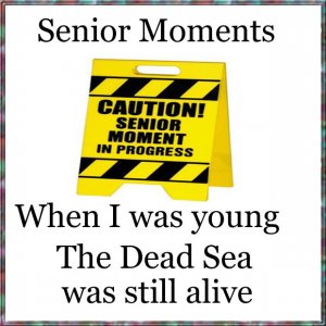 Senior moments.25a.jpg