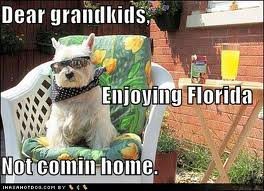 Funny-Florida-the-state-of-florida-31803140-264-191.jpg