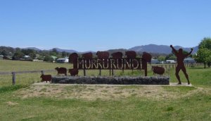 murrurundi.jpg