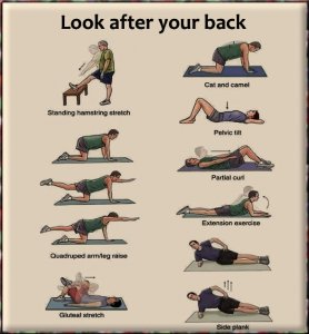 back exercise.jpg