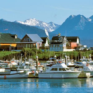 sywtli-homer-harbor-m.jpg