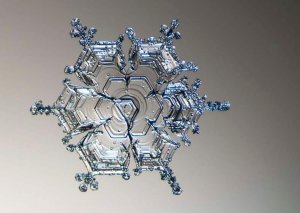 flake1.jpg