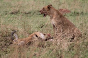 lunchtime.jpg