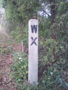 Whistle Crossing.jpg