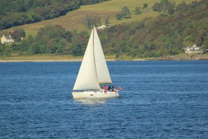 sailing.jpg