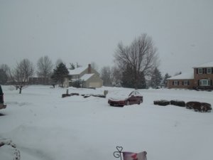 Winter.JPG