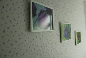 pics.jpg