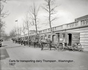 Carts for transporting dairy Thompson , Washington , 1927..jpg