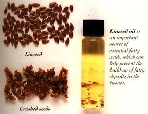 linseeds-linseed-oil-benefits.jpg