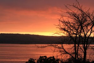 sunrise1.jpg