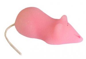 Mouse.JPG