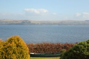 IMG_6228sm.jpg