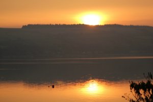 IMG_6271sm.jpg