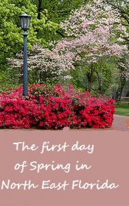 dogwood-azaleas-.jpg