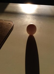 egg.jpg