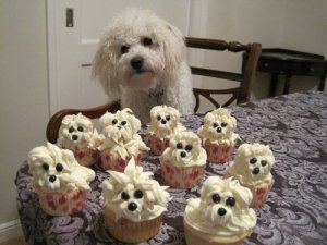 pupcakes_zpsgp1quiy0.jpg