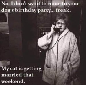 FB_IMG_1600300526909.jpg
