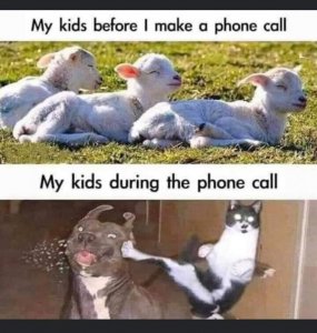 FB_IMG_1600473841608.jpg