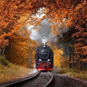 2016 train.jpg