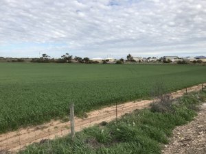 EF46227E-C533-4D4C-8184-24687339DE4B.jpeg EF46227E-C533-4D4C-8184-24687339DE4B.jpeg