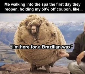 wax.jpg