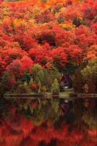 fall.jpg