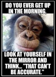 699e08fc60b04d0aa1f419400ba101c8[1].jpg