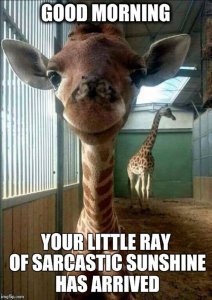 13ed54df38d996f7a5bc0a4badfacb9c[1].jpg