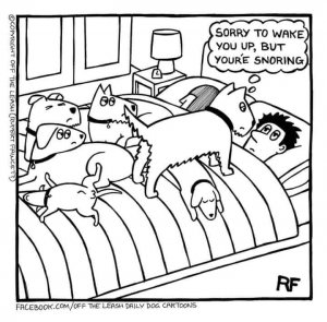 snorning.jpg
