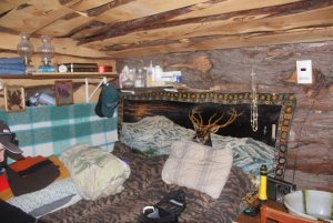 cabin 2.jpg