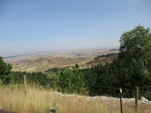 IMG_0868.JPG