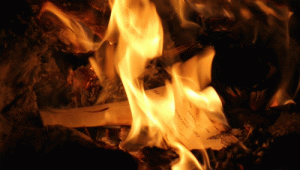 fireplace 3.gif