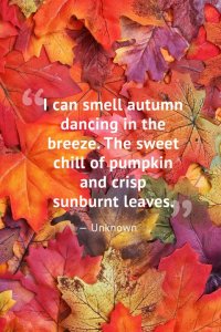 Autumn quote 1.jpg