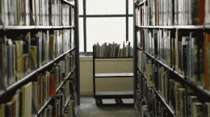 1.gif