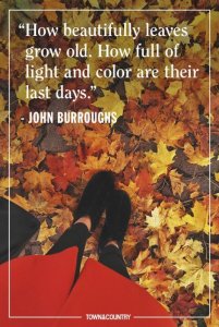 667ae80376ecae6a2ca94bbdfbcb03d8[1].jpg