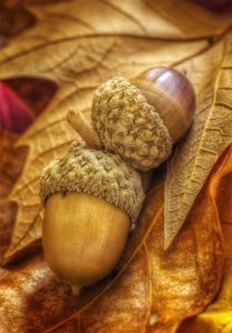 f3b4bb66a0c6619f16431ee01778e861[1].jpg