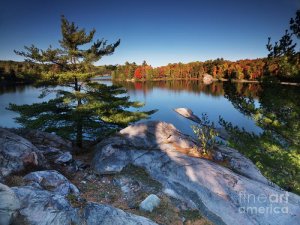 2-lake-george-at-killarney-provincial-park-in-fall-oleksiy-maksymenko.jpg