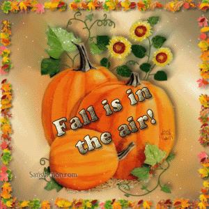 81aefe669b1a7d33517803a105e535e8[1].gif