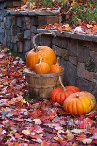 04582f8123f62c7ff91f3cc060b64036[1].jpg