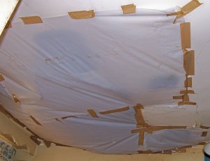 ceiling2.jpg ceiling2.jpg