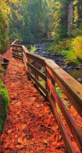 6496cca34c20ed0ca1522418b10d66dd[1].jpg