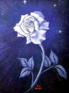 whiterose.jpg whiterose.jpg