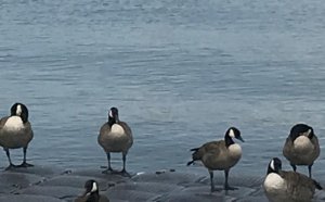 C02453F4-6642-4822-8862-08EDF1768D11.jpeg