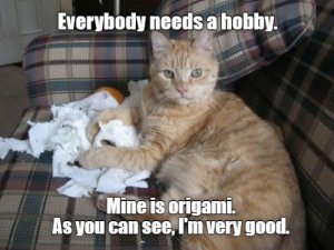 cat-everybody-needs-hobby-mine-is-origami-as-can-see-very-good.jpg