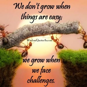 We don't grow when things are easy - Wisdom Quotes.jpeg