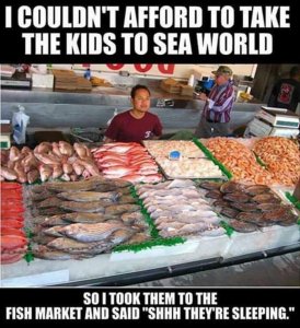 6121E68B-DBF0-4ED7-B5FB-EA9A2504AA4C.jpeg