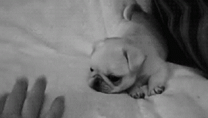 0IDM1N2lBe0EaNozCS2hV9Blqna6PpUK.gif