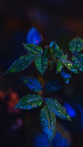 tumblr_7d1aab4923a97f331af7bab1731b8a7f_654ebb42_1280.jpg