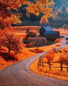 winding road.jpg