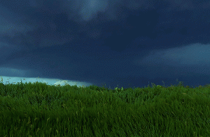 tumblr_d61bc243a66c8e627c8ba14ca0dbafdc_a69cd9e5_540.gif